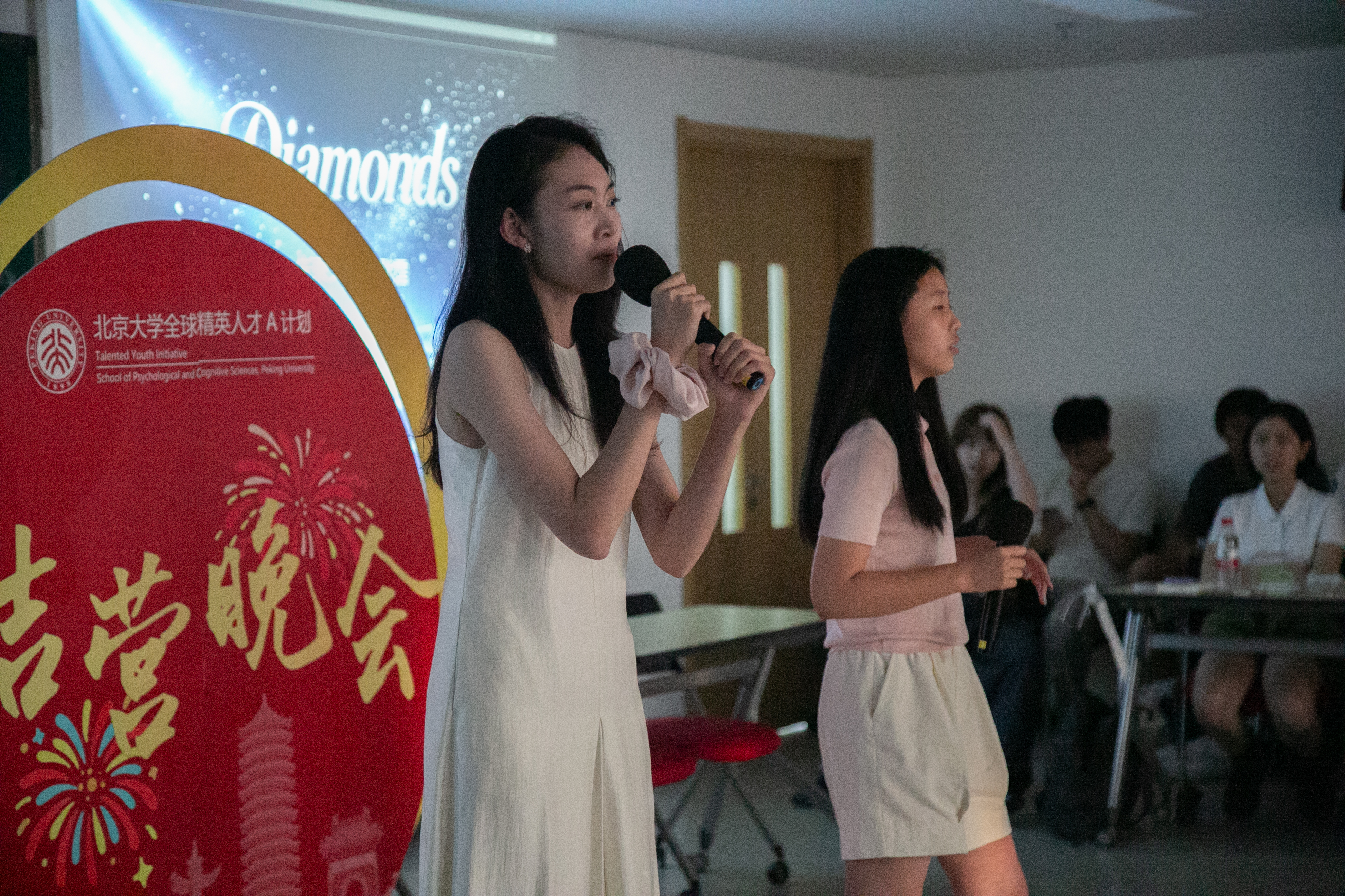 晚会 (12).jpg